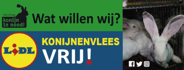 Afbeelding invoegen